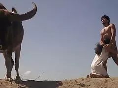Los niños tetonasxxx son aplastados